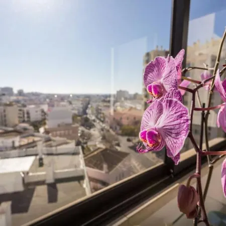 Brigida's Flat Faro